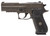 SIG 220RM45LEGIONR2      P220 45  4.4 DA/SA 8R GRY