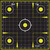 Allen 15211-30 EZ Aim Splash  Hanging 12"x12" Black/Chartreuse 30 Pack