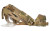 COLETAC VARMINT WRANGLER XL RH MC