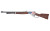 HENRY H10 AMERICA 250 45-70 22" 4RD
