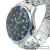 Omega Seamaster Professional 11