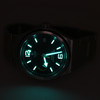 Tudor North Flag 91210N