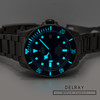 Tudor Pelagos *2020*