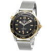 Omega Seamaster Diver 300M Titanium-Bronze Gold - Inventory 8376