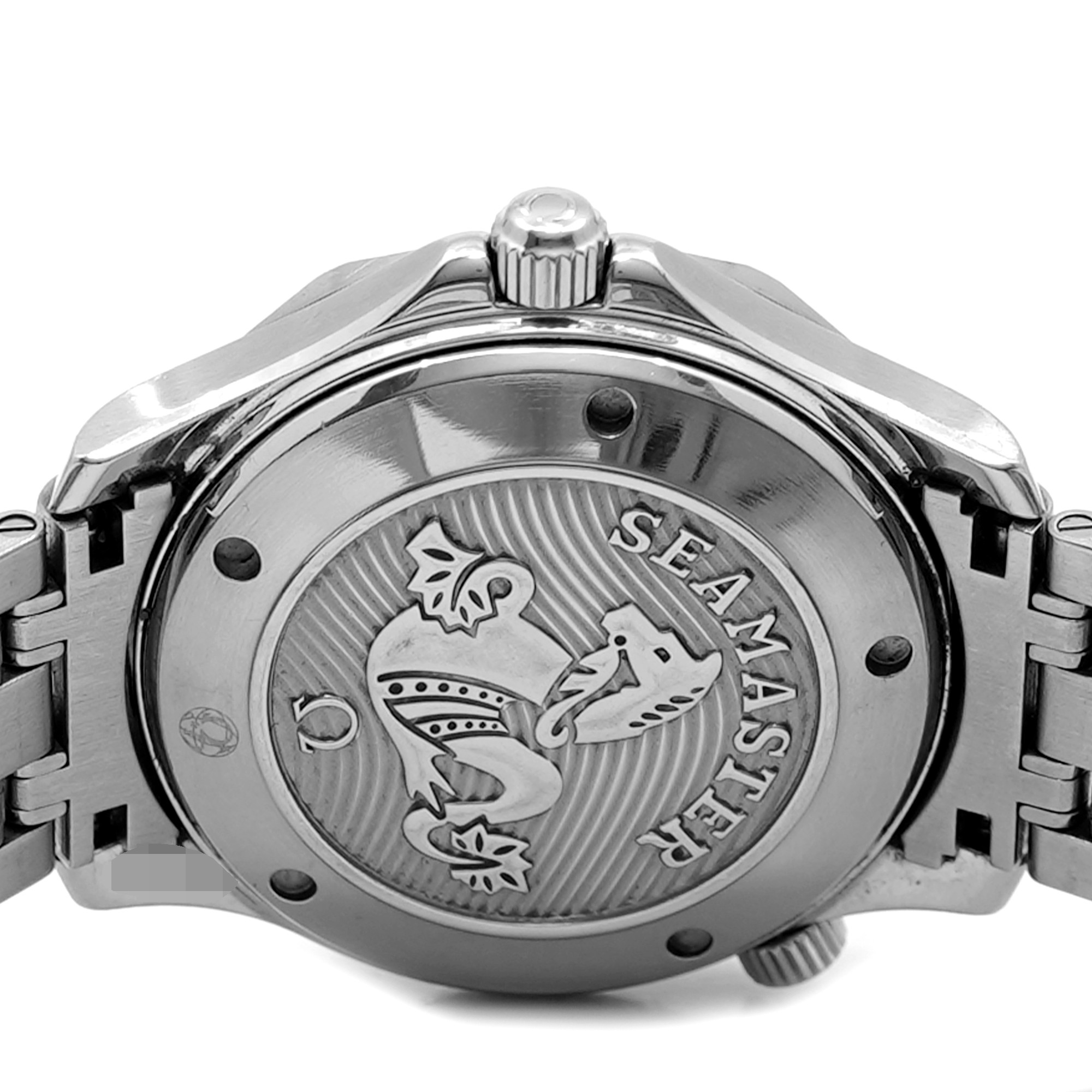 OMEGA Seamaster Professional 正規品！ Omega Seamaster Professional 212.30.41.20.01.003 - Inventory 9310