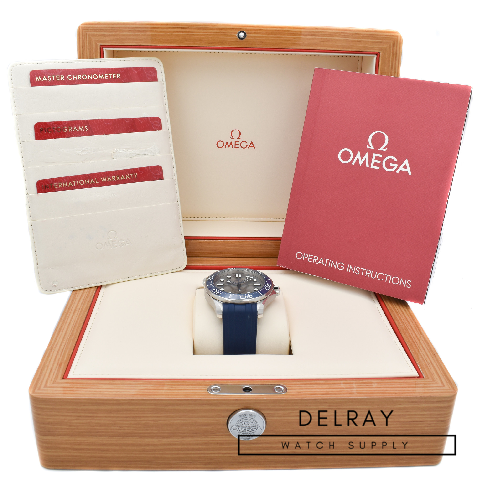 Omega Seamaster Professional Ceramic Grey Dial 3