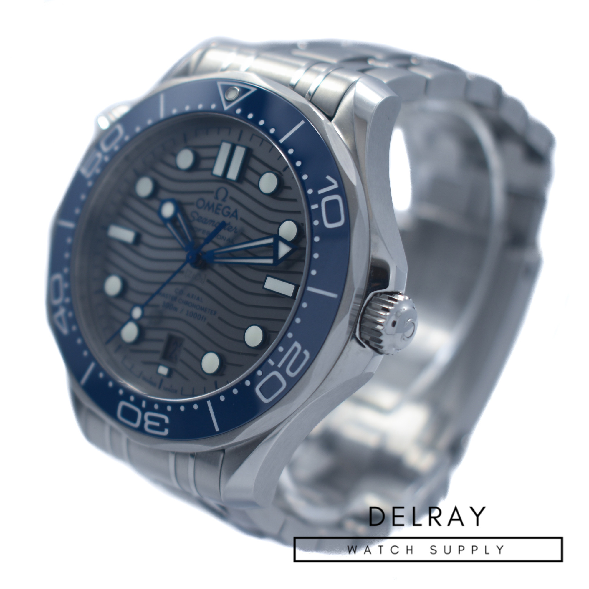 Omega Seamaster Professional Ceramic Gray Dial