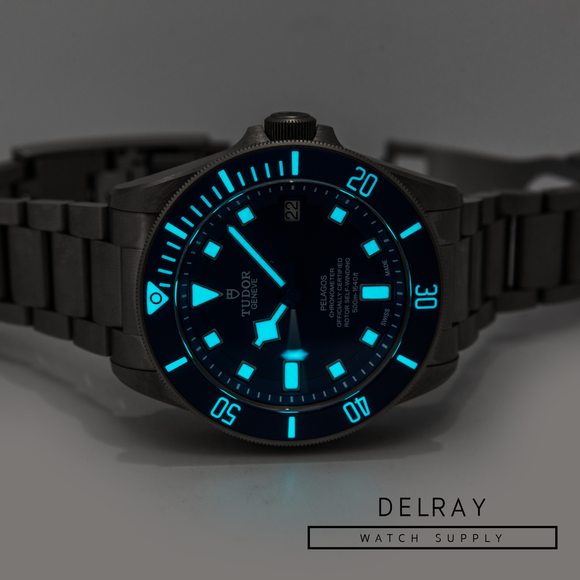Tudor Pelagos *2020*