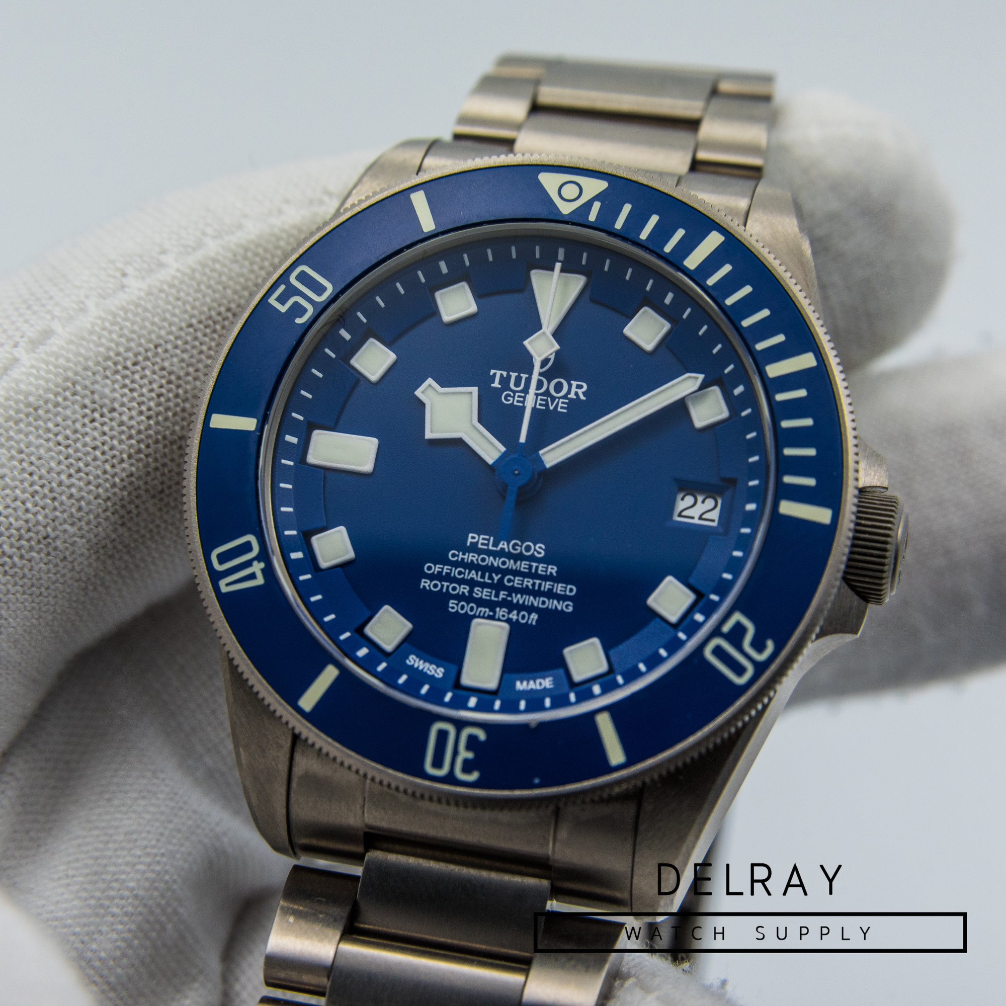 Tudor Pelagos *2020*
