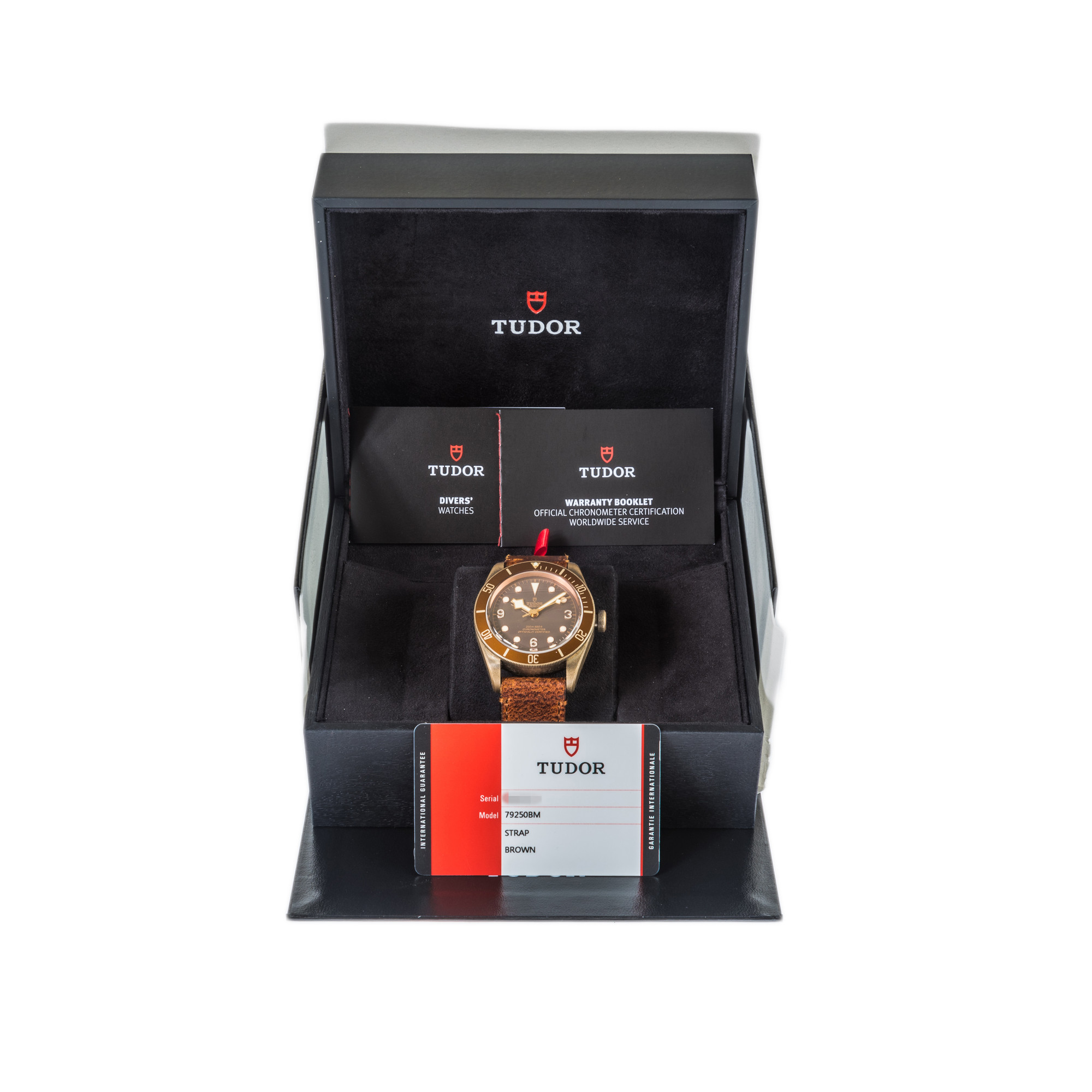 Tudor Heritage Black Bay Bronze 79250BM