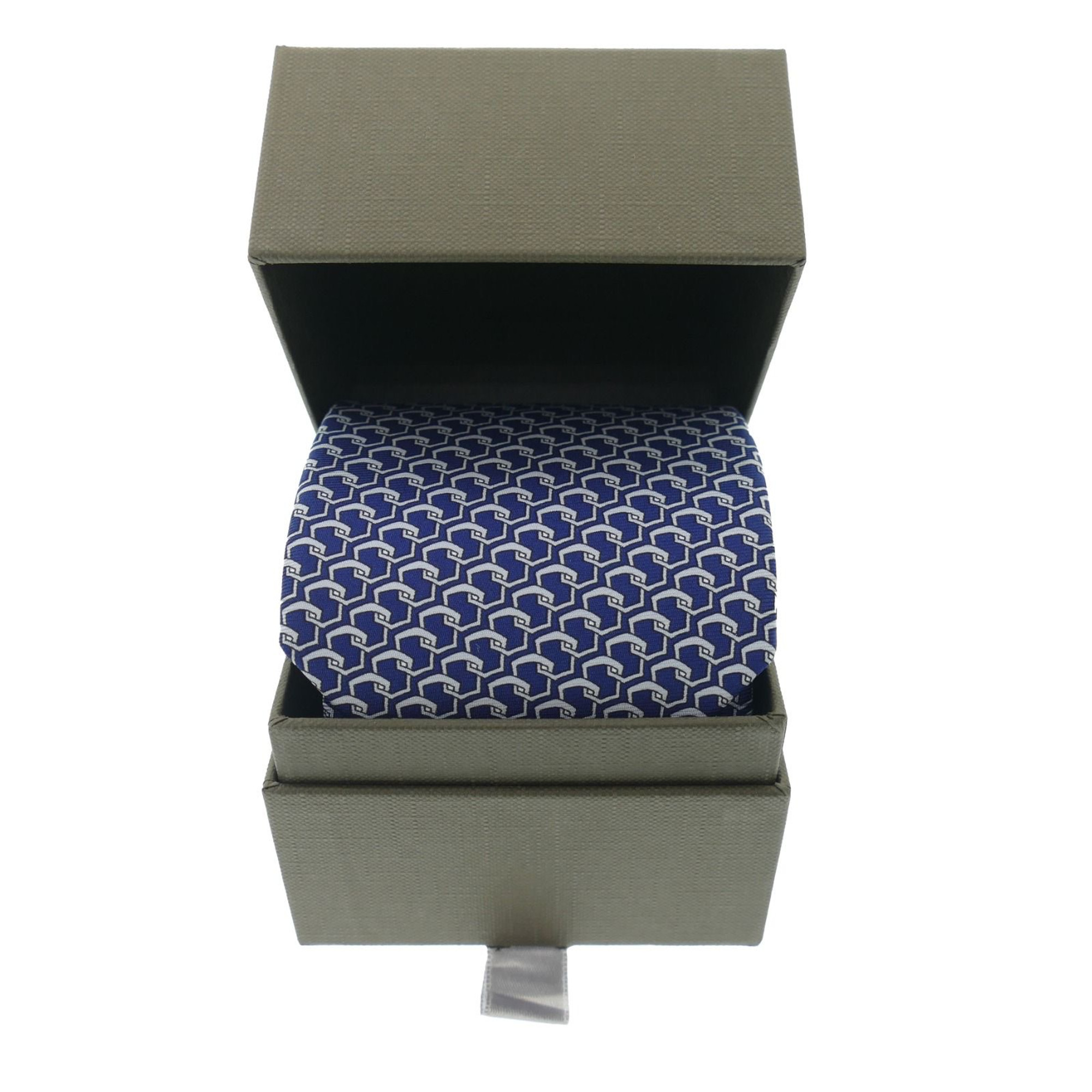 Patek Philippe Blue Pattern Tie