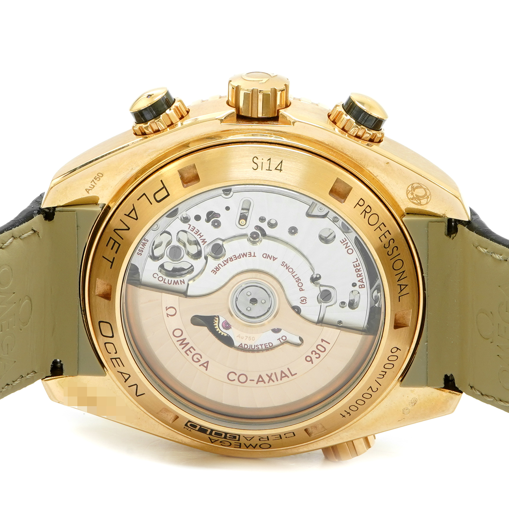 Omega Seamaster Planet Ocean 600M Sedna - Inventory 7082