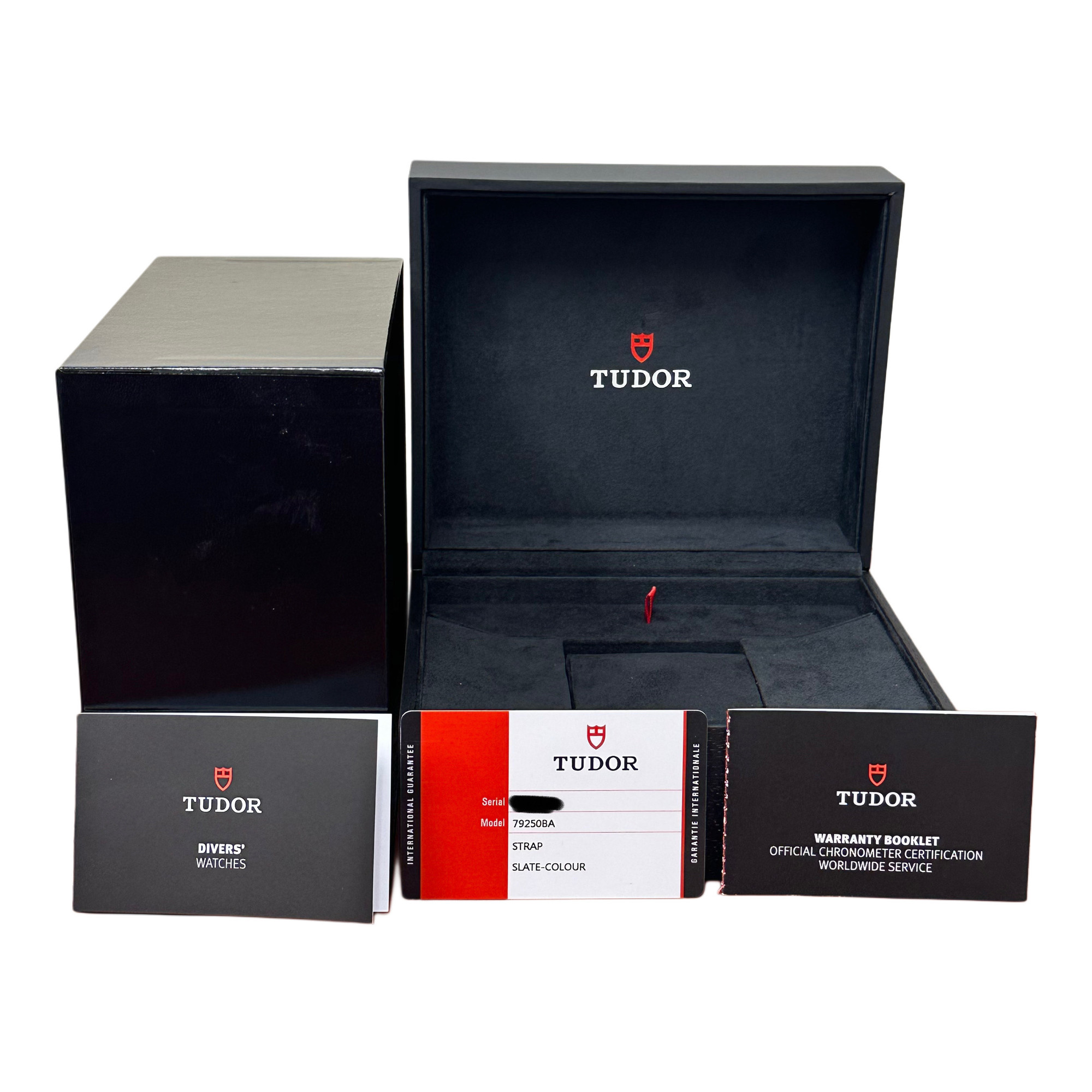 Tudor Back Bay Bronze 79250BA - Inventory 7878