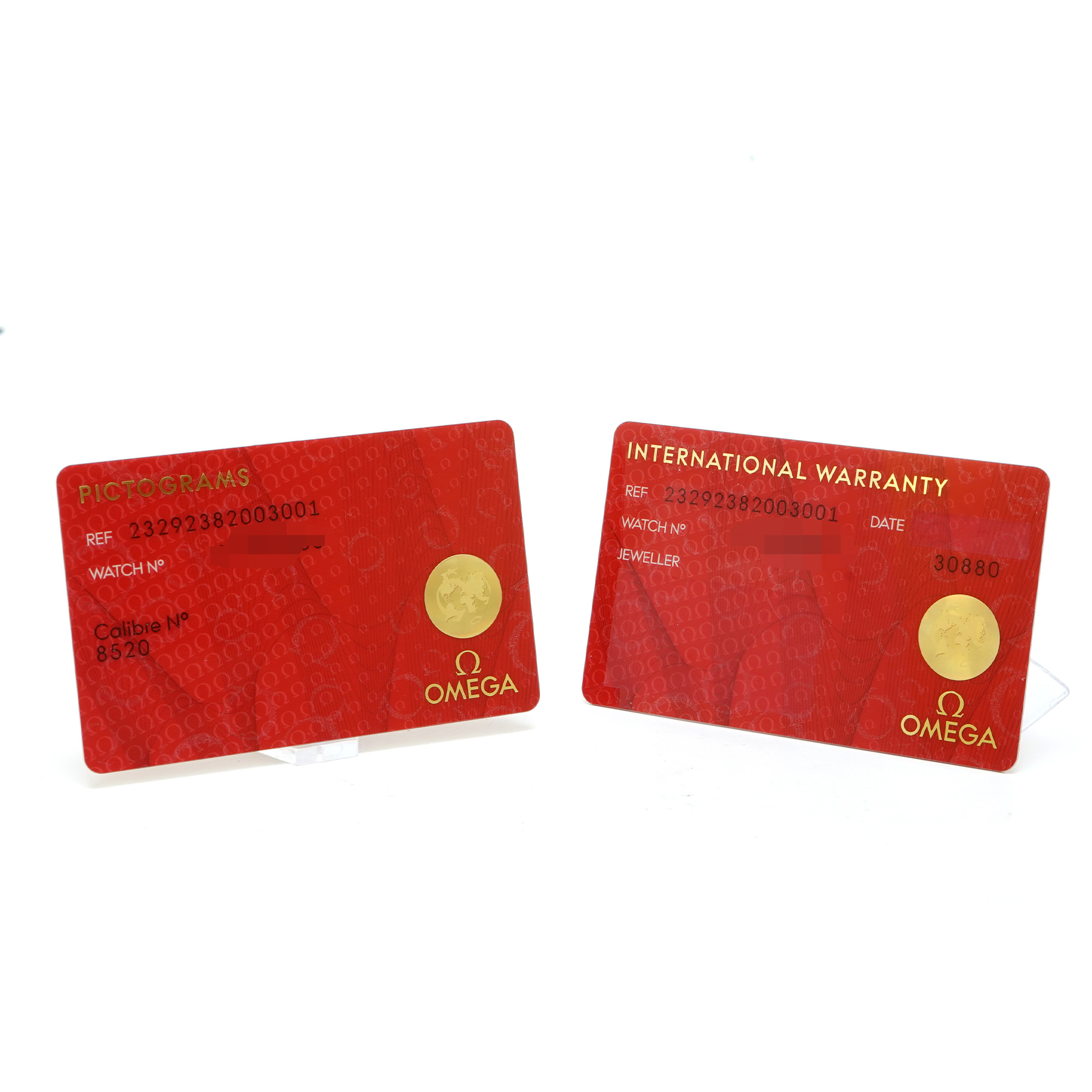 Omega Planet Ocean 600M Seamaster - Inventory 8091