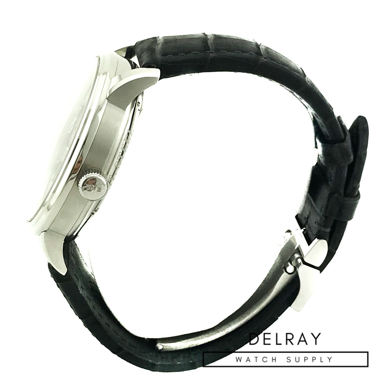 Glashutte Original PanoInverse XL Grey Dial