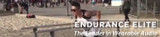 EE Hawk - The Wearable Audio / Calisthenics