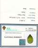 Natural Peridot Certified Ultra Rare Unusual Ludwigite Needles 31.51 Carat Water Drop Briolette Cut 14.27X20.85mm Loose Gem