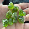 Natural Peridot Arizona Rough Parrot Green Color 15mm-25mm Loose Gemstone Rough