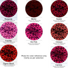 Natural Ruby Round 0.80mm Faceted Cut Precious Loose Gemstone