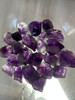 Natural Amethyst Bio Color Rough 295 Carat 23 pcs Loose Uncut Healing Rocks