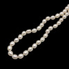 Pearl 8x6mm Plain Button 14.5inch Gemstone Drilled Strand