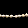 Freshwater Pearl 12x10mm Ringed Smooth Cut Bridal White Color 16 inch Strand June Birthstone