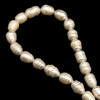 Freshwater Pearl 12x10mm Ringed Smooth Cut Bridal White Color 15.5 inch Strand June Birthstone
