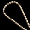 Freshwater Pearl 7x5mm Button/Drop Smooth Cut 53 PCS Ivory Color 15 inch Strand June Birthstone