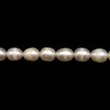 Freshwater Pearl 7x5mm Button/Drop Smooth Cut 60 PCS Ivory Color 15.3 inch Strand June Birthstone