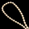 Freshwater Pearl 7x5mm Button/Drop Smooth Cut 60 PCS Ivory Color 15.3 inch Strand June Birthstone