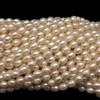Freshwater Pearl 7x5mm Button/Drop Smooth Cut 60 PCS Ivory Color 15.3 inch Strand June Birthstone