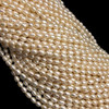 Freshwater Pearl 7x5mm Button/Drop Smooth Cut Ivory Color 14.8 inch Strand June Birthstone