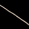 Freshwater Pearl 7x5mm Button/Drop Smooth Cut Ivory Color 15 inch Strand June Birthstone