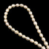 Freshwater Pearl 7x5mm Button/Drop Smooth Cut Ivory Color 15 inch Strand June Birthstone