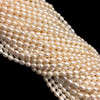 Freshwater Pearl 7x5mm Button/Drop Smooth Cut Ivory Color 15 inch Strand June Birthstone