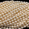 Freshwater Pearl 7x5mm Button/Drop Smooth Cut Ivory Color 15 inch Strand June Birthstone