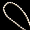 Freshwater Pearl 7x5mm Button/Drop Smooth Cut Ivory Color 15.3 inch Strand June Birthstone