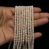 Freshwater Pearl 4.50mm Off Round Smooth Cut Ivory Color 15.8 inch Strand June Birthstone