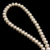 Freshwater Pearl 7.50mm Button Smooth Cut White Color 15.8 inch Strand June Birthstone