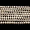 Freshwater Pearl 7.50mm Button Smooth Cut White Color 15.8 inch Strand June Birthstone