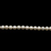 Freshwater Pearl 5.50mm Off Round Smooth Cut Bridal White Color 16 inch Strand June Birthstone