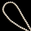 Freshwater Pearl 5.50mm Off Round Smooth Cut Bridal White Color 16 inch Strand June Birthstone