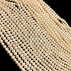 Freshwater Pearl Strand 8x7mm Ringed Smooth Cut Ivory Color 15.5 inch Pearl Birthstone