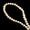 Freshwater Pearl Strand 8x7mm Ringed Smooth Cut Cream Rose Light Color 16 inch Pearl Birthstone