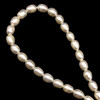 Freshwater Pearl Strand 9x7mm Drop & Button Smooth Cut Ivory Color 15 inch Pearl Birthstone