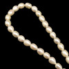 Freshwater Pearl Strand 9x7mm Drop & Button Smooth Cut Cream Color 14.5 inch Pearl Birthstone