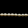 Freshwater Pearl Strand 9x7mm Drop & Button Smooth Cut Cream Color 14.5 inch Pearl Birthstone