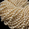 Freshwater Pearl Strand 9x7mm Drop & Button Smooth Cut Cream Color 14.5 inch Pearl Birthstone