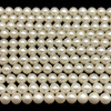 Freshwater Pearl Strand 7mm Round Smooth Cut Bridal White Color 15.5 inch Pearl Birthstone