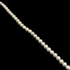 Freshwater Pearl Strand 8x7mm Off Round & Ringed Smooth Cut Ivory Color 15.5 inch Pearl Birthstone